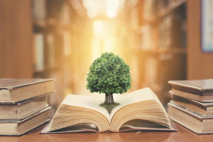 Tree on book in library Tree on book in library