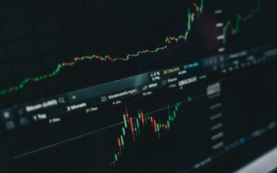 Wellvest Capital’s Health and Wellness Public Company Index – July 2025